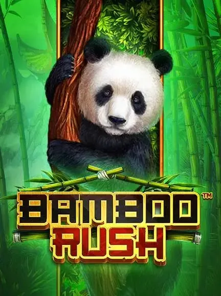 Bamboo Rush slot game